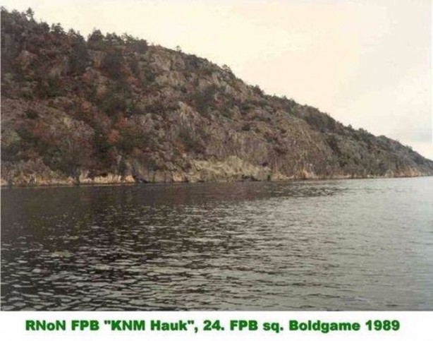 Foto - Onları görebilmek neredeyse imkansız