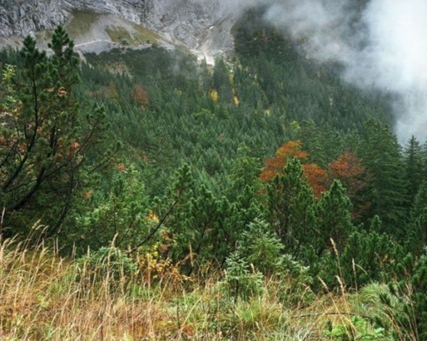 Foto - Onları görebilmek neredeyse imkansız