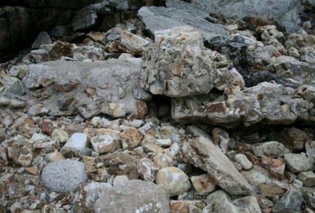 Foto - Onları görebilmek neredeyse imkansız