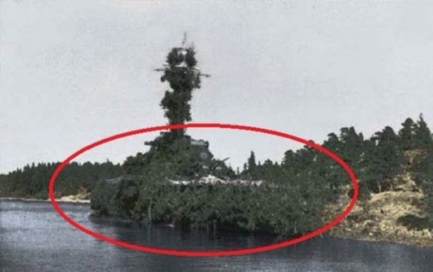 Foto - Onları görebilmek neredeyse imkansız