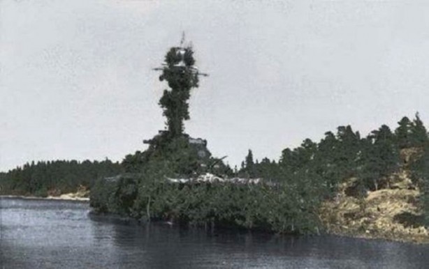 Foto - Onları görebilmek neredeyse imkansız