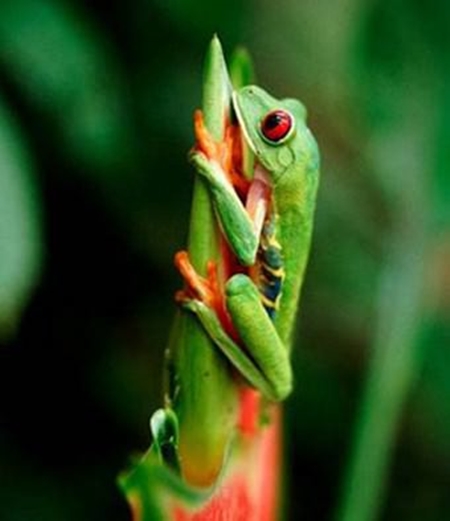 Foto - Onları görmek mümkün değil