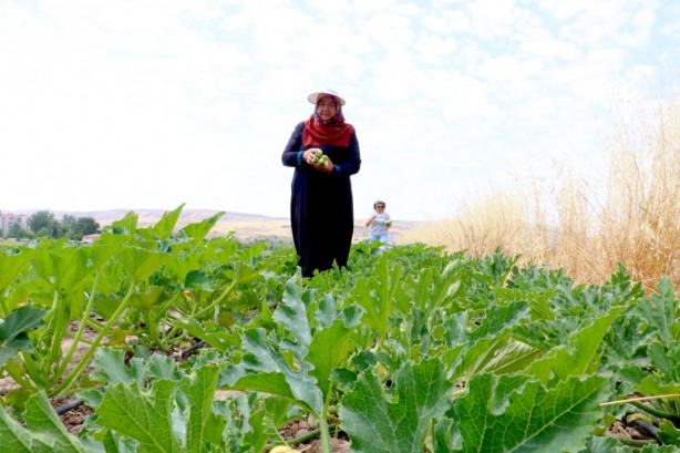 Foto - Onların yaptığını birçok kişi yapmaz! Bu yaşta yaptıklarını duyunca şaşıracaksınız