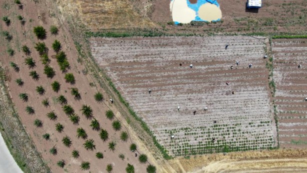 Foto - Onların yaptığını birçok kişi yapmaz! Bu yaşta yaptıklarını duyunca şaşıracaksınız