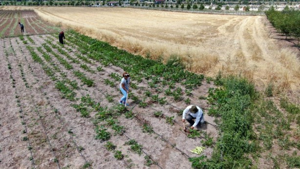 Foto - Onların yaptığını birçok kişi yapmaz! Bu yaşta yaptıklarını duyunca şaşıracaksınız