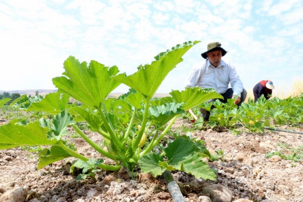 Foto - Onların yaptığını birçok kişi yapmaz! Bu yaşta yaptıklarını duyunca şaşıracaksınız