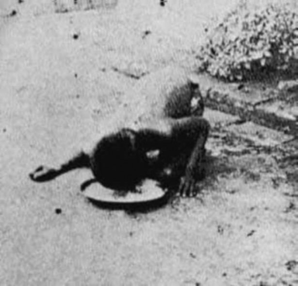 Foto - Onların yaşam hikayeleri inanılmaz