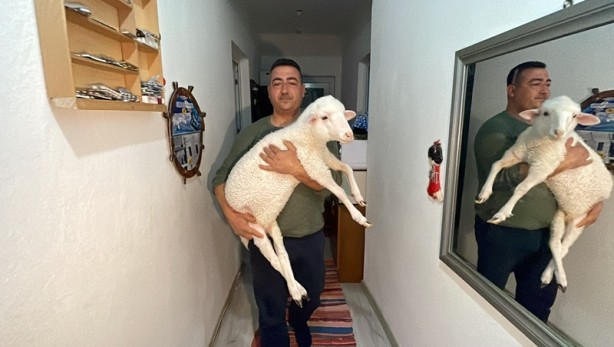 Foto - Onu görenler şaşırıyor Alışveriş sepetinde ilginç görüntü