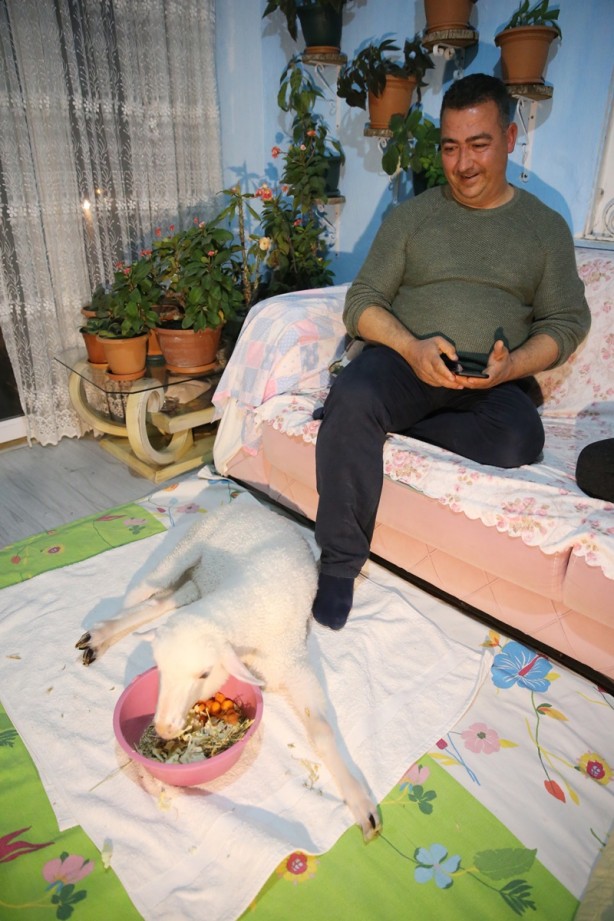 Foto - Onu görenler şaşırıyor Alışveriş sepetinde ilginç görüntü