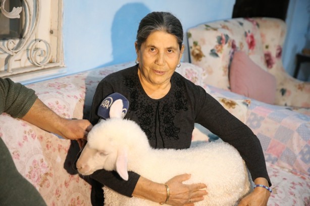 Foto - Onu görenler şaşırıyor Alışveriş sepetinde ilginç görüntü