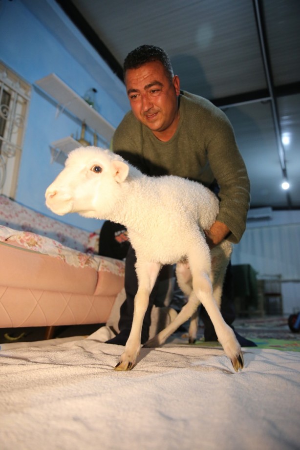 Foto - Onu görenler şaşırıyor Alışveriş sepetinde ilginç görüntü