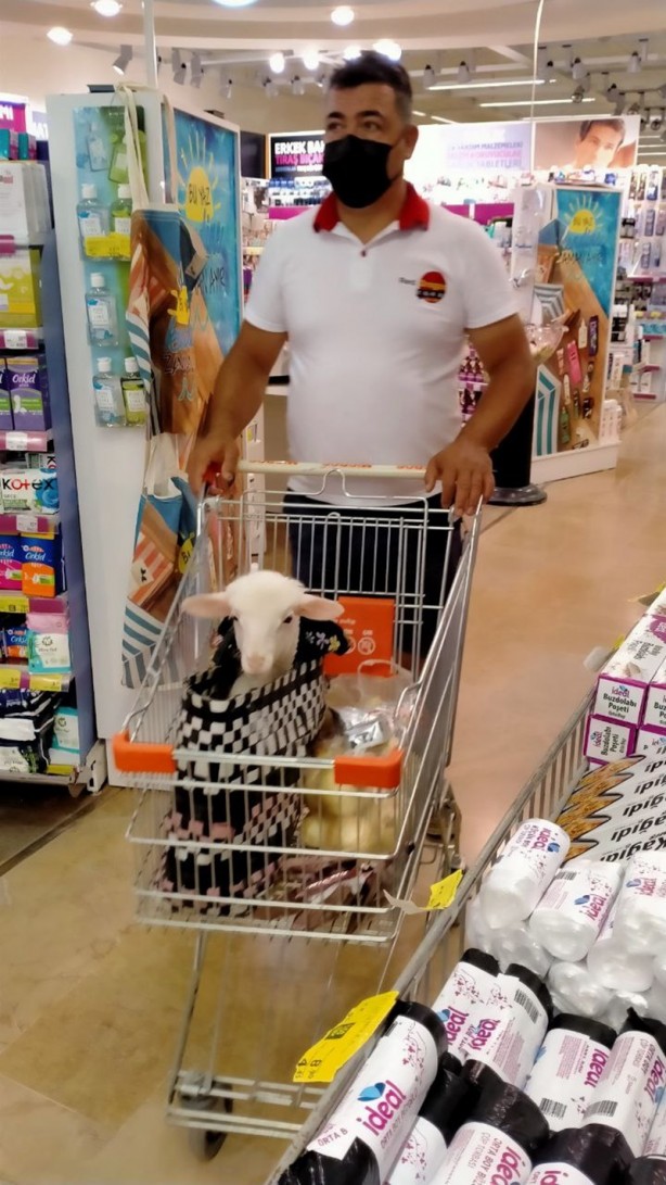 Foto - Onu görenler şaşırıyor Alışveriş sepetinde ilginç görüntü