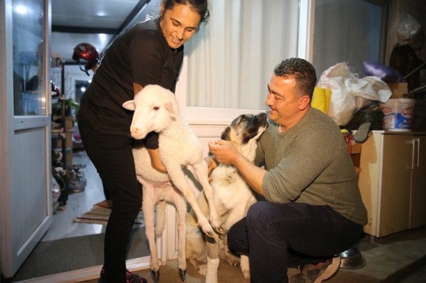 Foto - Onu görenler şaşırıyor Alışveriş sepetinde ilginç görüntü