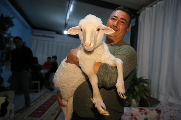 Foto - Onu görenler şaşırıyor Alışveriş sepetinde ilginç görüntü