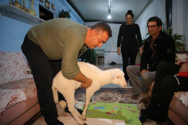 Foto - Onu görenler şaşırıyor Alışveriş sepetinde ilginç görüntü