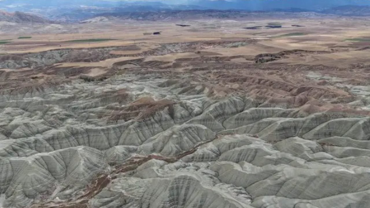 Foto - Onu görmek için dünyanın öbür ucundan geldi! Ankara'da 10 milyon yıllık doğa harikası!