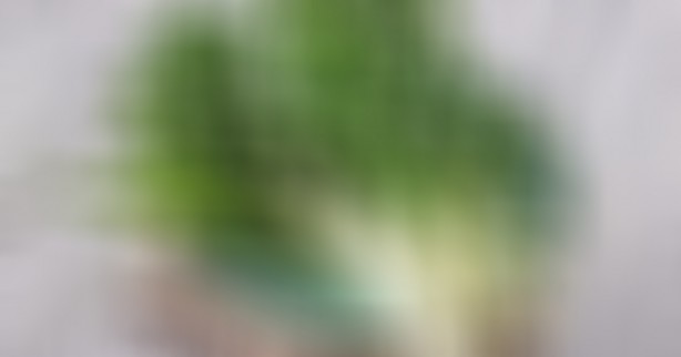 Onun yüzüne dahi bakmıyoruz! Oysa haftada bir yiyen bile hastanenin yolunu unutuyor! İşte o harika sebze