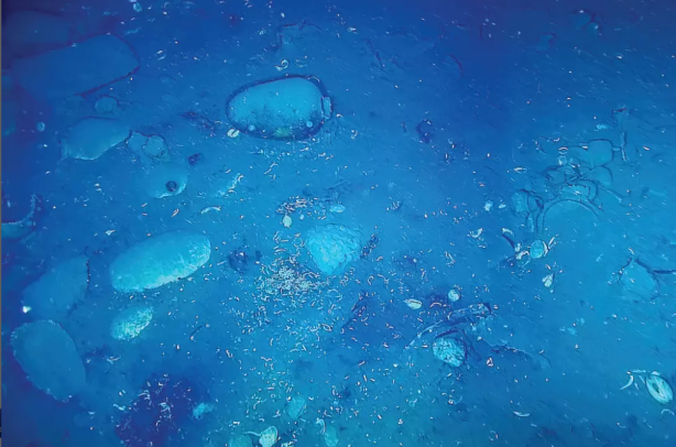 Foto - Orada denizin dibinde çok büyük hazine bulundu! Öyle böyle değil! Herkes dalış için sıraya girdi