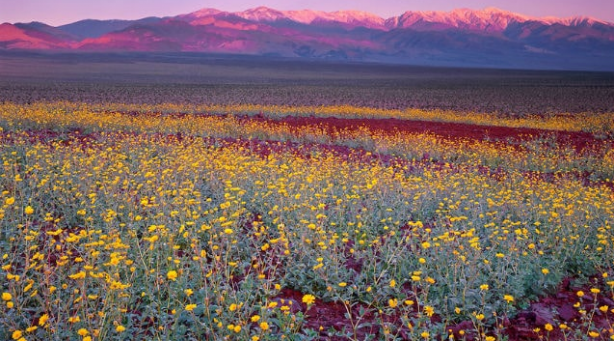 Foto - Orası dünyanın en sıcak yeri! Adı ölüm vadisi