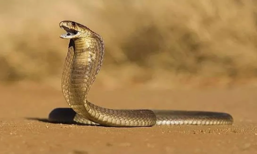 Foto - Orası dünyanın en sıcak yeri! Adı ölüm vadisi