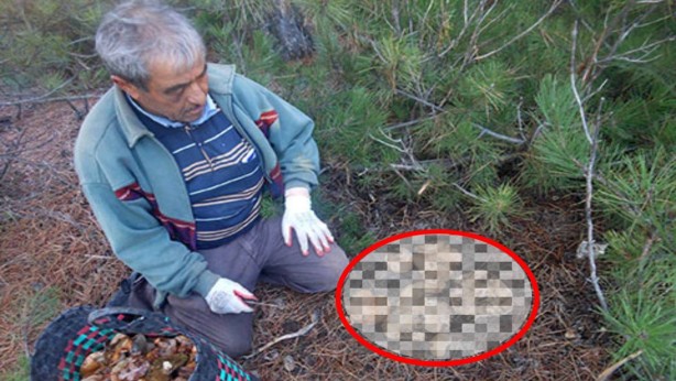 Foto - Muğla'da oraya giden hazineyle dönüyor! Hiç durmadan getiriyorlar! Herkes ne olduğunu anlamaya çalışıyor