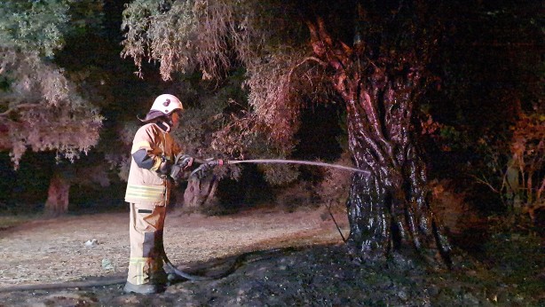 Foto - Orayı cayır cayır yaktılar! Her gece aynı kabus
