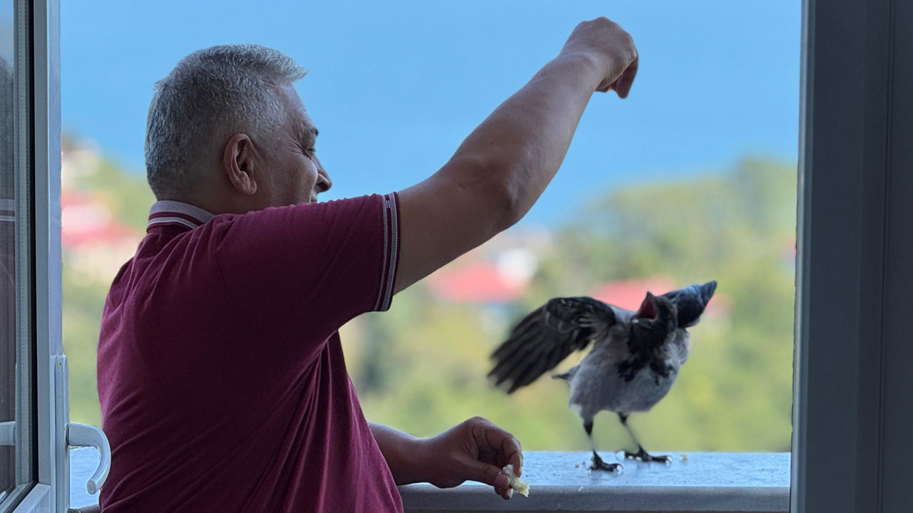 Foto - Ordu fındıkçı Kemal ile karga Şakir’i konuşuyor! Kıskandıran dostluk