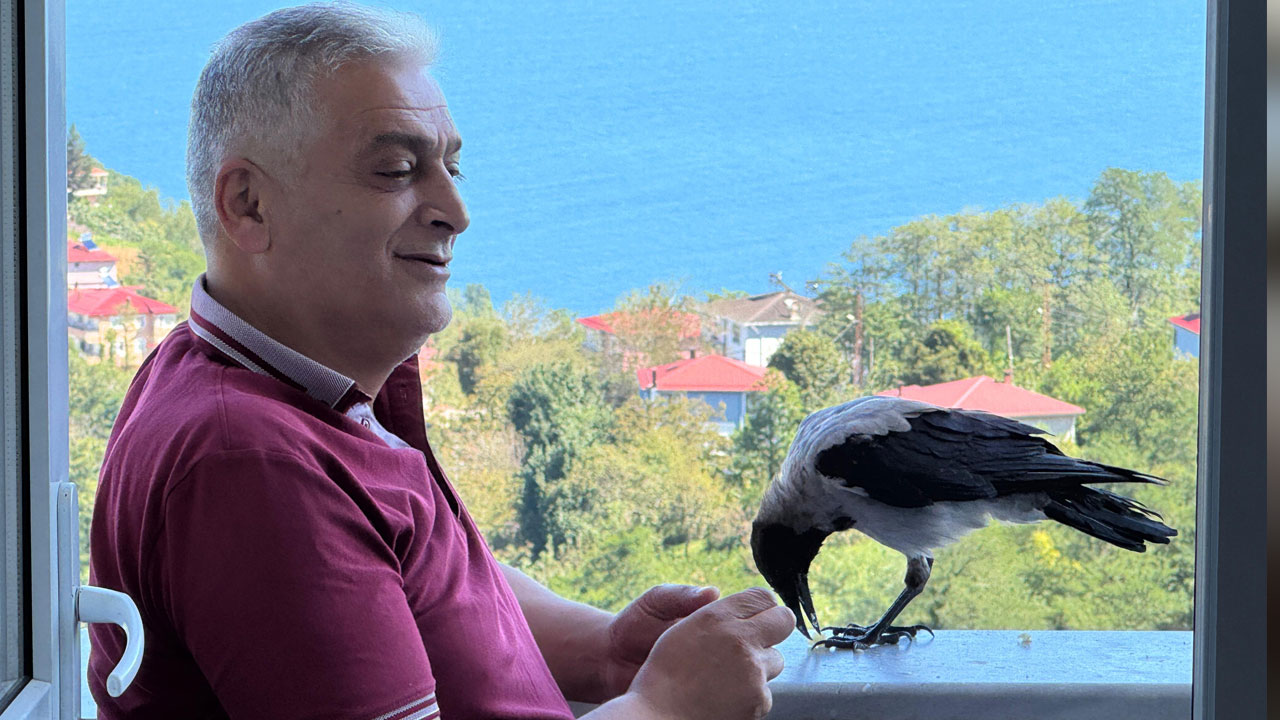 Foto - Ordu fındıkçı Kemal ile karga Şakir’i konuşuyor! Kıskandıran dostluk