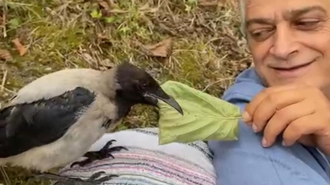 Ordu fındıkçı Kemal ile karga Şakir’i konuşuyor! Kıskandıran dostluk