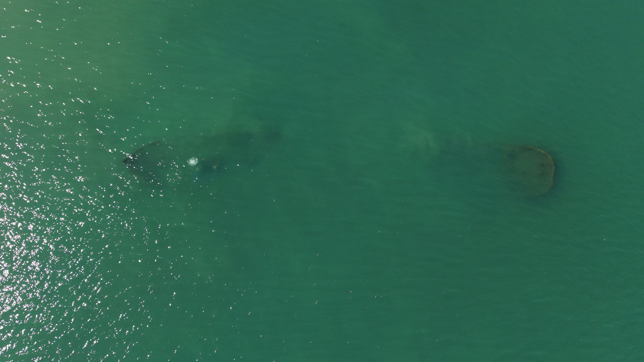 Ordu sahilinde 91 yıllık sır: Rus şilebinin batığı keşfedildi