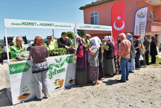 Ordu'da çiftçiye fide desteği