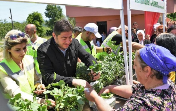 Foto - Ordu'da çiftçiye fide desteği