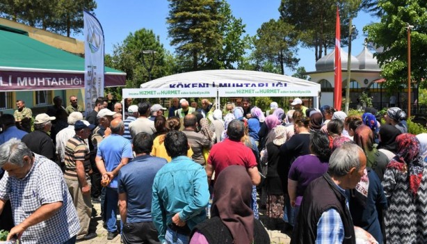 Foto - Ordu'da çiftçiye fide desteği