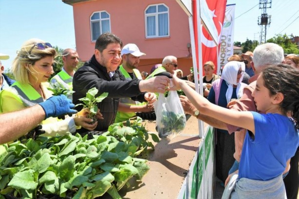 Foto - Ordu'da çiftçiye fide desteği