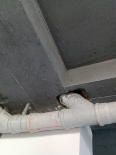 Foto - Ordu'da korkutan sonuç! O ilçelerde risk çok yüksek