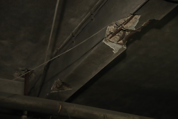 Foto - Ordu'da korkutan sonuç! O ilçelerde risk çok yüksek