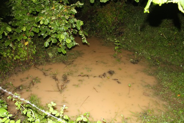 Foto - Ordu’da taşkın yaşandı, evleri su bastı