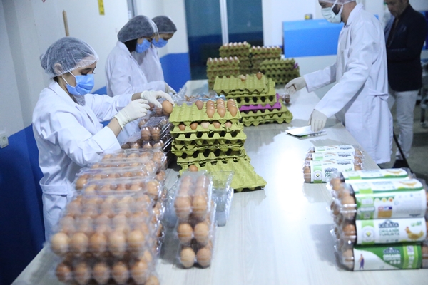 Foto - Ordu'da üretiliyor... BAE'ye ihraç edilecek!