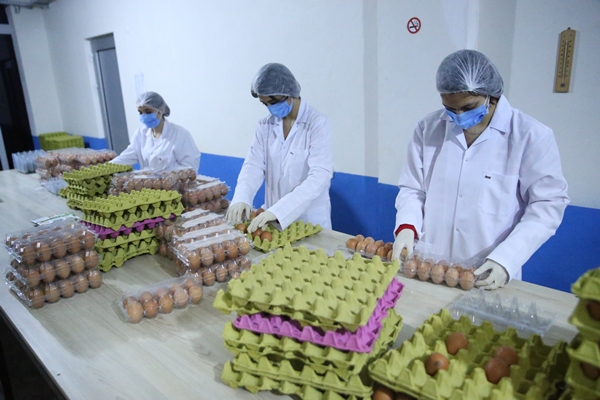 Ordu'da üretiliyor... BAE'ye ihraç edilecek!