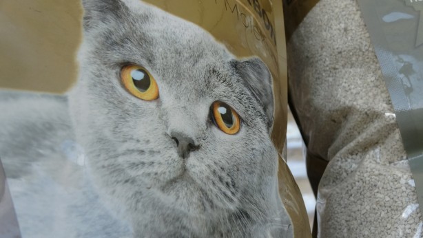 Foto - Ordu'daki kritik rezervden üretildi! İngiltere, Rusya, Lübnan, Belçika ve İsviçre peşine düştü