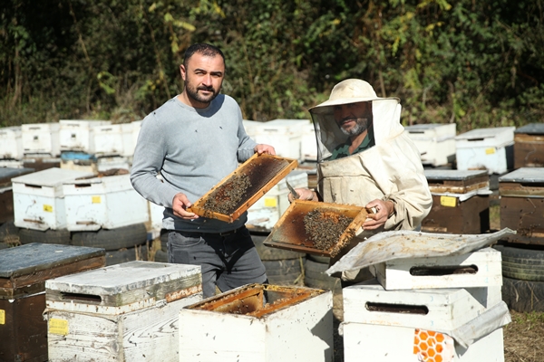 Foto - Ordulu arıcılar bu sezon 18 bin ton bal topladı