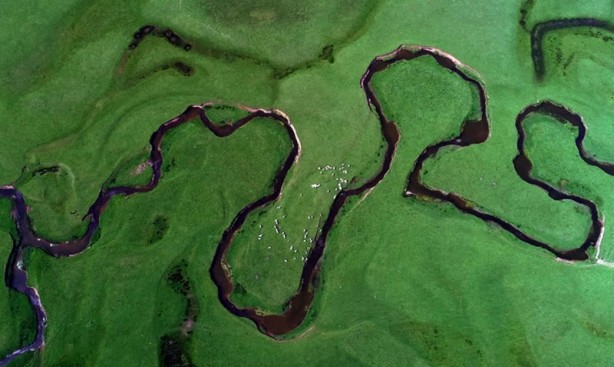 Foto - Ordu'nun doğa harikası: Perşembe yaylası