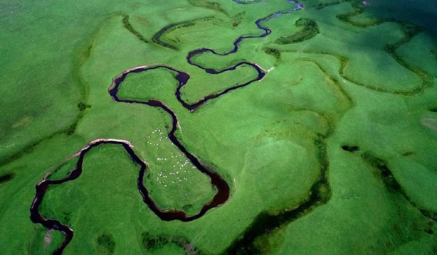 Foto - Ordu'nun doğa harikası: Perşembe yaylası