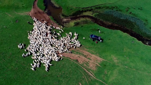 Foto - Ordu'nun doğa harikası: Perşembe yaylası