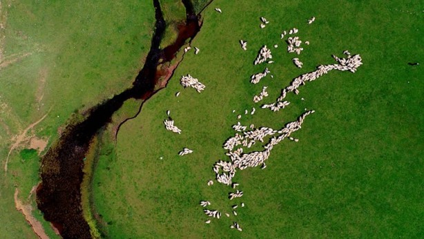 Foto - Ordu'nun doğa harikası: Perşembe yaylası