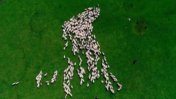 Foto - Ordu'nun doğa harikası: Perşembe yaylası