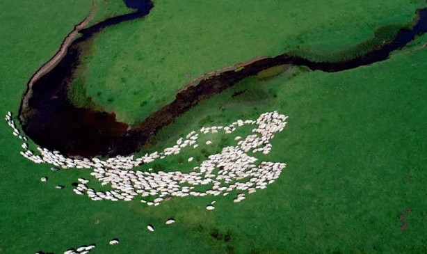 Foto - Ordu'nun doğa harikası: Perşembe yaylası
