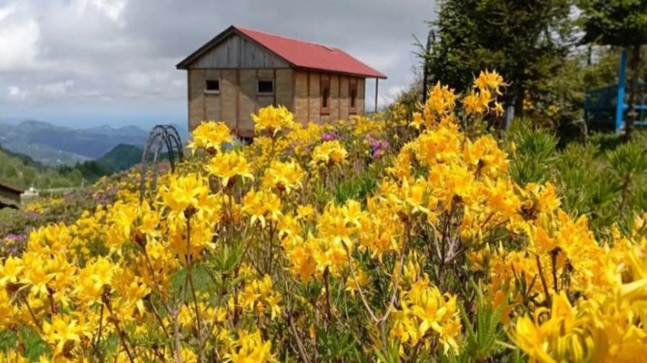 Foto - Ordu’nun saklı cenneti göz kamaştırıyor! Bakanlar bir daha bakıyor