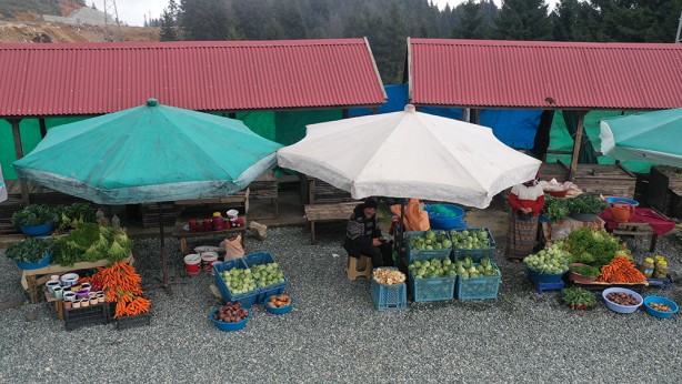 Foto - Ordu'nun yaylasında yetişiyor! Yöre halkına ciddi gelir getiriyor