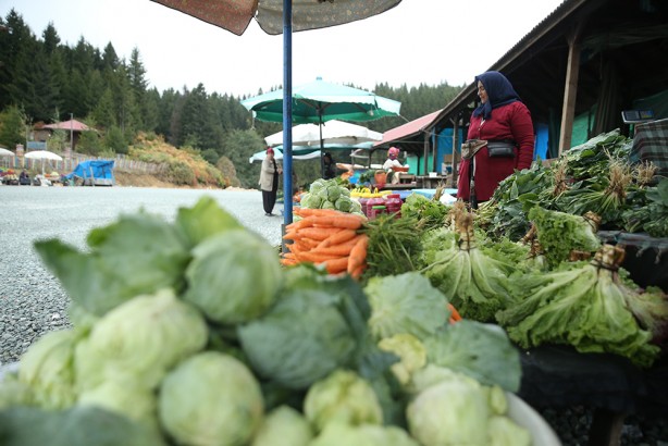 Foto - Ordu'nun yaylasında yetişiyor! Yöre halkına ciddi gelir getiriyor